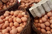蛋價連3降恐破成本？農民憂下月過「剩蛋劫」　轟政府過度干涉市場