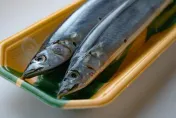 日本8月排放核汙水「首批秋刀魚抵台」！農業部：將儘速公布「採驗結果」