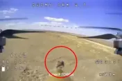 影/壯烈犧牲！誤登「自殺無人機」衝撞烏克蘭　俄軍竟替「倒楣鼠」立碑