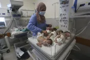 以巴開戰/世衛稱加薩希法醫院已成「死亡區」　31名早產兒被撤往埃及