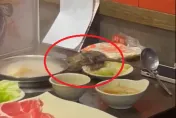 影/板橋火鍋店「天降巨鼠」桌上共餐　錢都致歉：立即停業2天