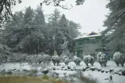 福壽山農場超狂傳說　「有這條件」寒流來也不會下雪