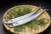 台灣秋刀魚竟變「日本產」！日本連鎖超市1年狂賣近5千盒　業者道歉