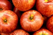 「蘋果」吃法第一步可能就錯！　營養師曝：等於把「營養丟進垃圾桶」