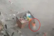 10歲女童垃圾堆翻找食物「被活埋」！垃圾子車意外倒下　沒人發現慘被壓死