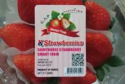 韓國近2年首次出現「不合格」！「日本草莓」連2周出包食藥署實施最嚴格查驗