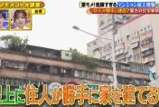 北市大安區「頂樓加蓋30多戶」！日本電視節目直擊嚇壞了