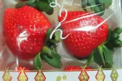 快訊/日本草莓又出事！農藥超標　共6製造廠「暫停進口」