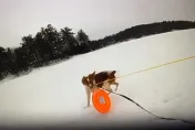影/男子掉進結冰湖面　全靠聰明狗狗幫忙撿回一命