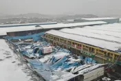 湖南暴雪持續肆虐！果菜市場頂棚被壓垮　大樹「連根拔起」倒塌