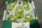 快訊/韓國「鮮葡萄」1.7萬公斤「農藥殘留」！日本米重金屬超標　全數退運或銷毀