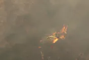 影/熱浪致使智利爆發森林大火至少19死　傷亡人數恐持續攀升