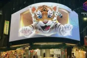 士林夜市「3D萌虎」復活了！廠商著作權鬧雙胞慘被貼封條　判決出爐終於解禁