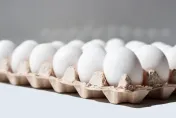 新雞下蛋市場恐「供過於求」！　農民憂價格跌至35元大崩盤
