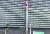 影/玩命畫面曝！跑酷教練潛南港展覽館　沿9樓外牆蜘蛛功爬下