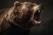 影/1死5傷！野熊闖入狂襲路人　斯洛伐克小鎮宣布緊急狀態