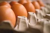 獨家/桃園黑心蛋商販售「壞蛋液」！榮總毒物專家示警「恐感染沙門氏菌」