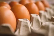 清明節後買氣未回升！雞蛋供需平衡　本周價格維持每台斤49元