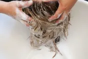 不是洗頭！內行曝「洗髮精超狂用途」：除臭效果有夠強