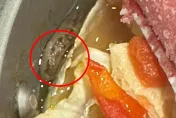 煮滾火鍋內出現「活蛞蝓」他嚇傻！專家揭「洗菜加鹽」讓菜盤變乾淨