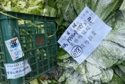 太嚇人！批發市場「3蔬菜農藥超標」共銷毀3.6萬公斤　3縣市產出最多