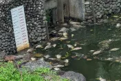 超臭！羅東運動公園虹明湖「魚隻大量死亡」　水質檢驗：溶氧消耗大