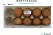 快訊/「禽畜水產品」5件違規！「國產蛋、烏骨雞、蝦仁」全檢出禁用藥