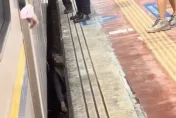 連假驚魂！斗六29歲女摔入列車、月台縫隙　眾人緊急拉起