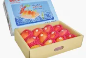 瘋搶！台灣芒果新品種「龍蝦芒果」上市　長達五年試驗栽種成功
