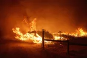 2天燒掉230座大安森林公園！加州「波斯特野火」肆虐　乾燥強風致命重擊