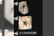 男友逼紋身「指定肚肚刺蜘蛛」　理由讓她超傻眼：有點破防了