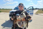 影/38°C高溫！8萌犬遭遺棄鎖車上「差點被烤死」　幸獲正妹女警救出