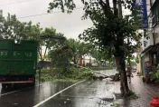 凱米颱風侵襲高雄！多處路樹倒塌　鳳山路燈遭吹倒全線封閉
