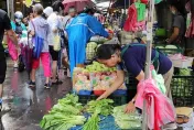 颱風天搶購蔬菜…民眾買好市多1款高麗菜「口感很怪」　過來人揭真相