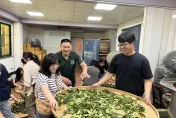 新北茶農蔡旭志傳茶香　慶祝奧運金牌父親節八八折