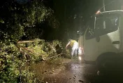 快訊/北市文化大學後山路樹倒塌　車輛無法通行封路排除中