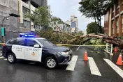 影/雨彈狂轟高雄！路樹連根拔起「壓住1車4人」　驚悚影片曝