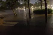 雨彈狂轟一整夜　北市大湖公園「水淹出來」看不見草坪