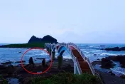 影/不怕山陀兒？三仙台2隻獼猴「海景第一排」浪漫觀浪　網笑：猴死囡仔