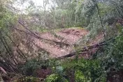 不斷更新/山陀兒坍方災情！基隆東光路前山崩　雙向道路中斷