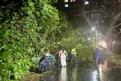 快訊/北部風雨持續淡水路樹倒塌　3女騎士遭砸中受困輕傷送醫