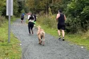 加拿大半馬賽事山羊亂入　一路跟著跑還衝過終點線拿獎牌