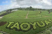 田裡長國旗！桃園「彩繪稻田」為中華民國慶生　搭飛機就能俯瞰美景