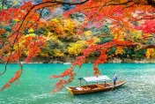 衝日本注意！猛暑恐讓紅葉「遲到」　日媒：10月中可先賞浪漫波波草