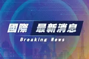 快訊/日客機起飛後遭鳥擊緊急折返名古屋機場　機上68人全數平安