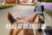 影/達達的馬蹄！這條馬路被「正名」了　金山半夜騎馬街頭奇景