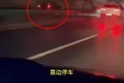 影/新手剛拿證…夜間跟導航竟「高速公路上逆行」　陸女駕照慘被吊銷