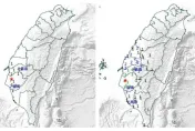台南麻豆連2震！不是403餘震　專家：未來50年地震規模逾7機率僅1%
