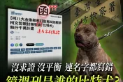 陳智菡遭酸「比特犬」還寫錯名字　民眾黨全面開戰週刊