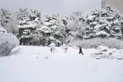 影/南韓教師「滑雪上班」　身分曝光竟是前滑雪國手